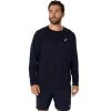 ASICS SILVER LÅNGÄRM TOPP