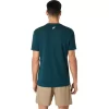 ASICS STRIP KORTÄRM TEE