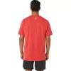 ASICS STRIP KORTÄRM TEE ASICS STRIP KORTÄRM TEE