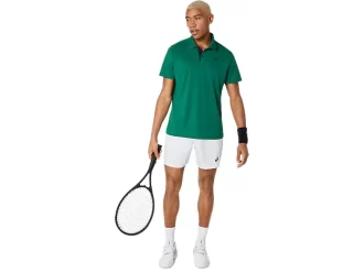 DOMSTOL POLO