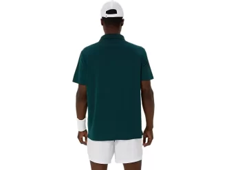 DOMSTOL POLO