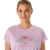 FUJITRAIL LOGO KORTÄRM TOPP