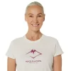FUJITRAIL LOGO KORTÄRM TOPP