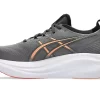 GEL-NIMBUS 27 BRED GEL-NIMBUS 27 BRED