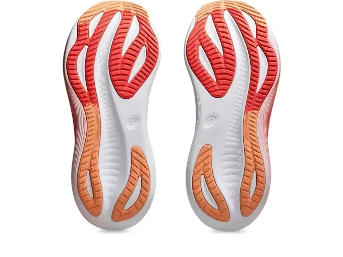 GEL-NIMBUS 27 BRED GEL-NIMBUS 27 BRED